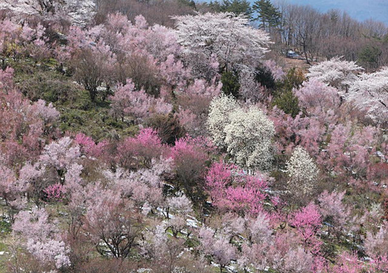 土湯温泉 やすらぎの宿 向瀧旅館 Fukushima  Exteriör bild